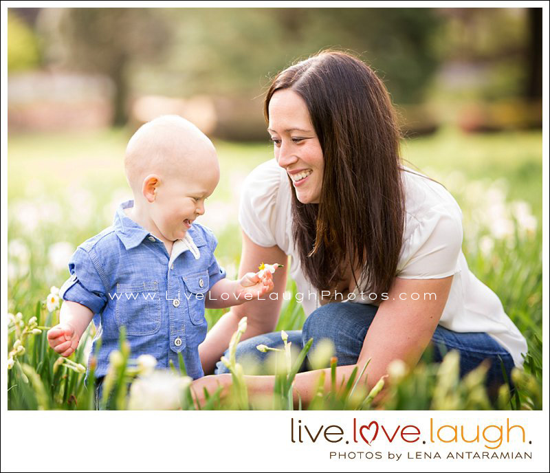 Little boy and his mamma in a field of daffodils