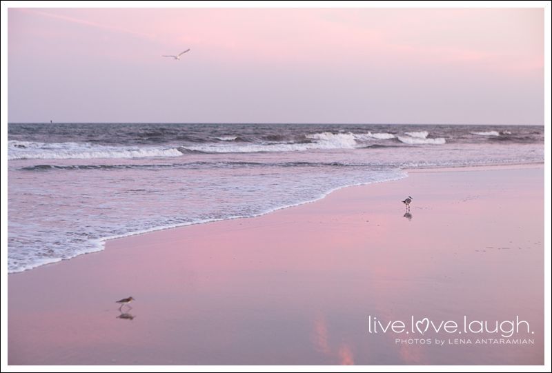 2014-08-04 Beach shoot_5
