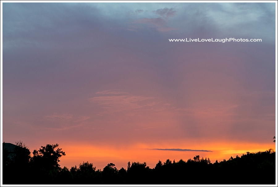 2015-06-27 At the house_5_WEB