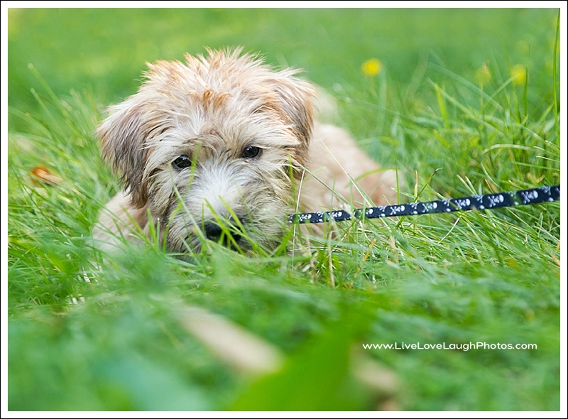 2016-06-26 Millie_WEB