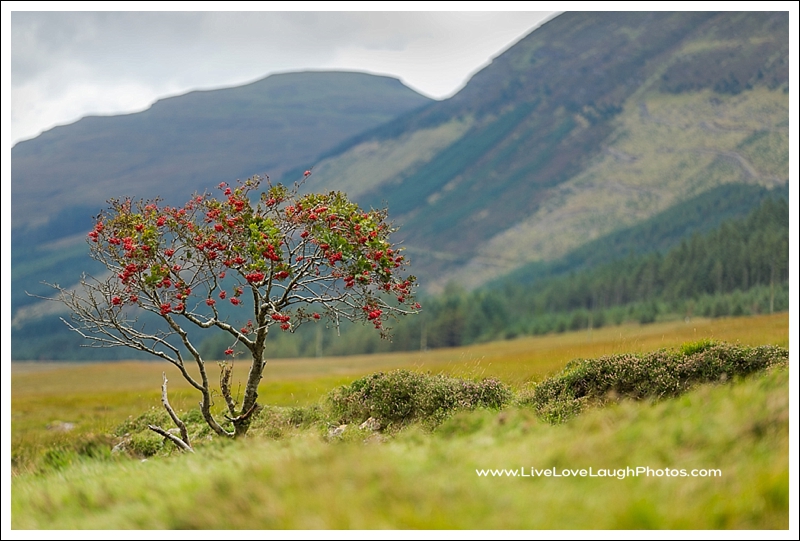 2016-09-21-fairy-pools012_web